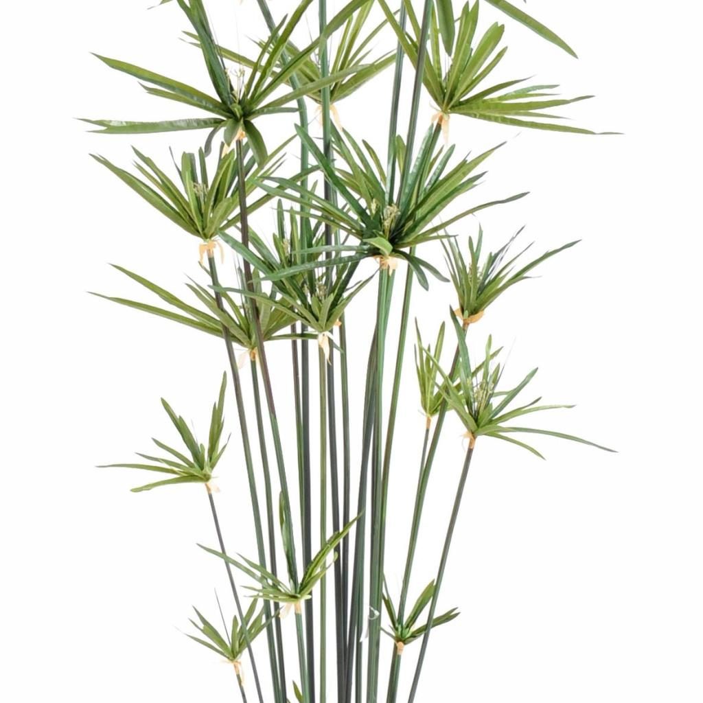Papyrus décoratif à vingt et une tiges, 185 cm — photographie complémentaire