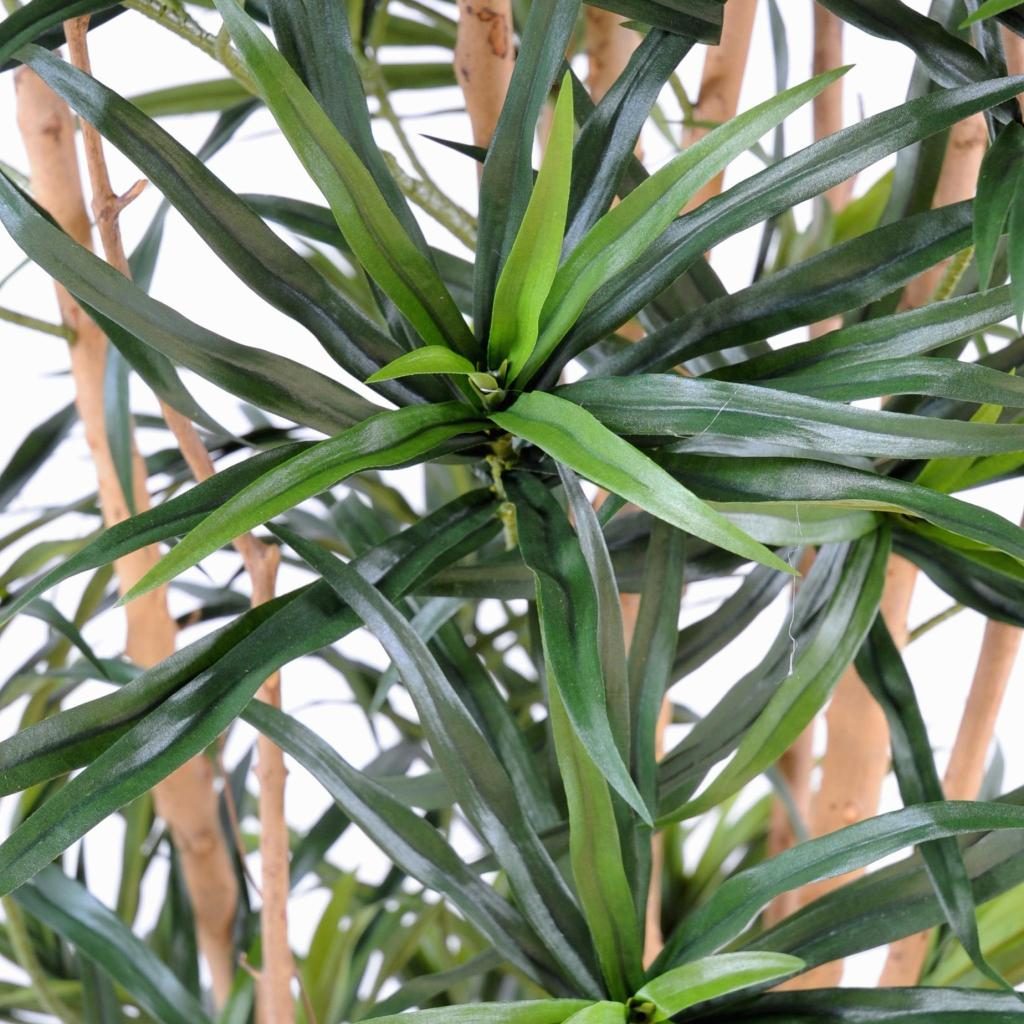 Dracaena décoratif Anita, format 125 cm — photographie complémentaire